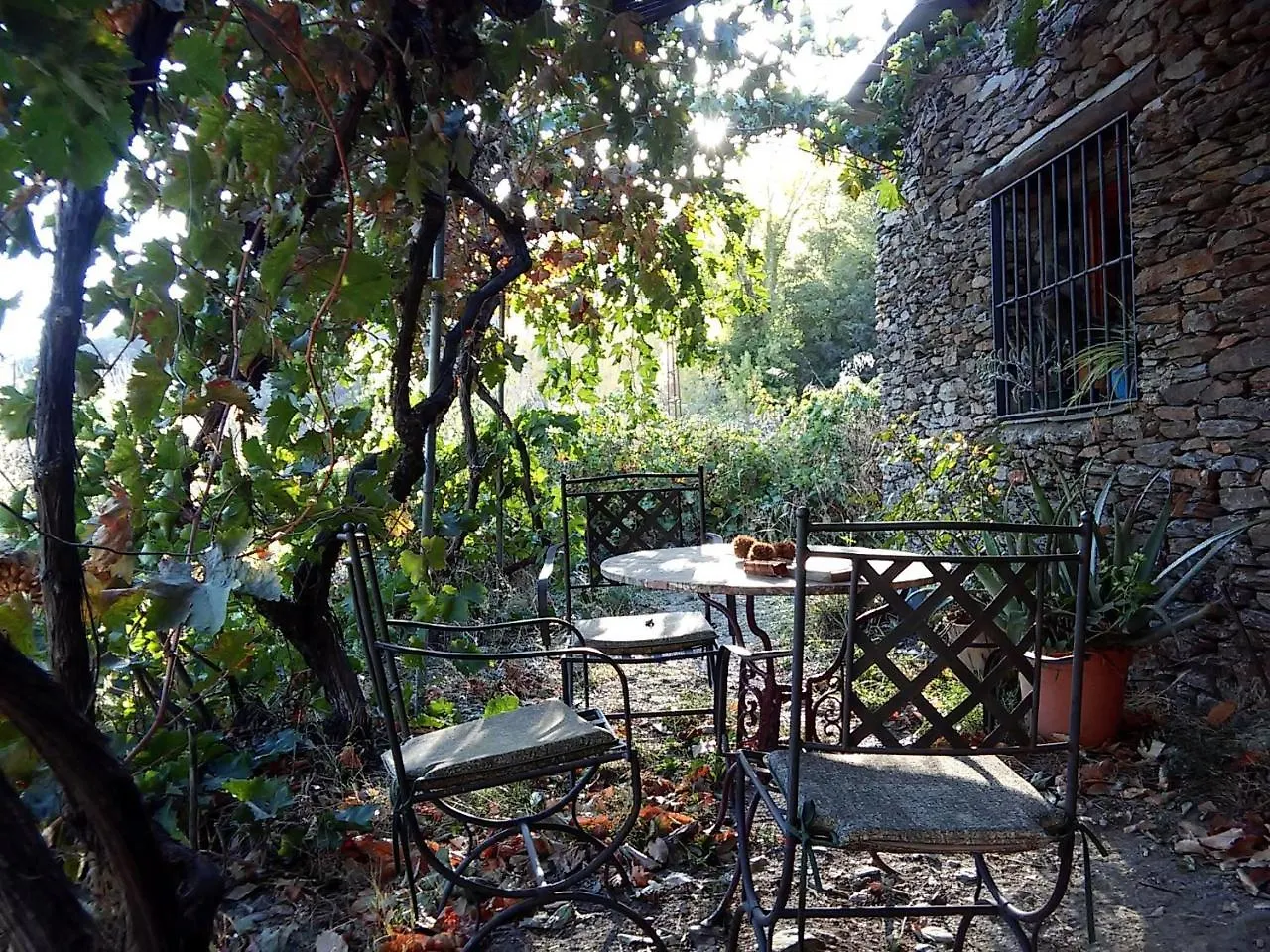 Cortijo Buena Vista Guest House Laroles Country house