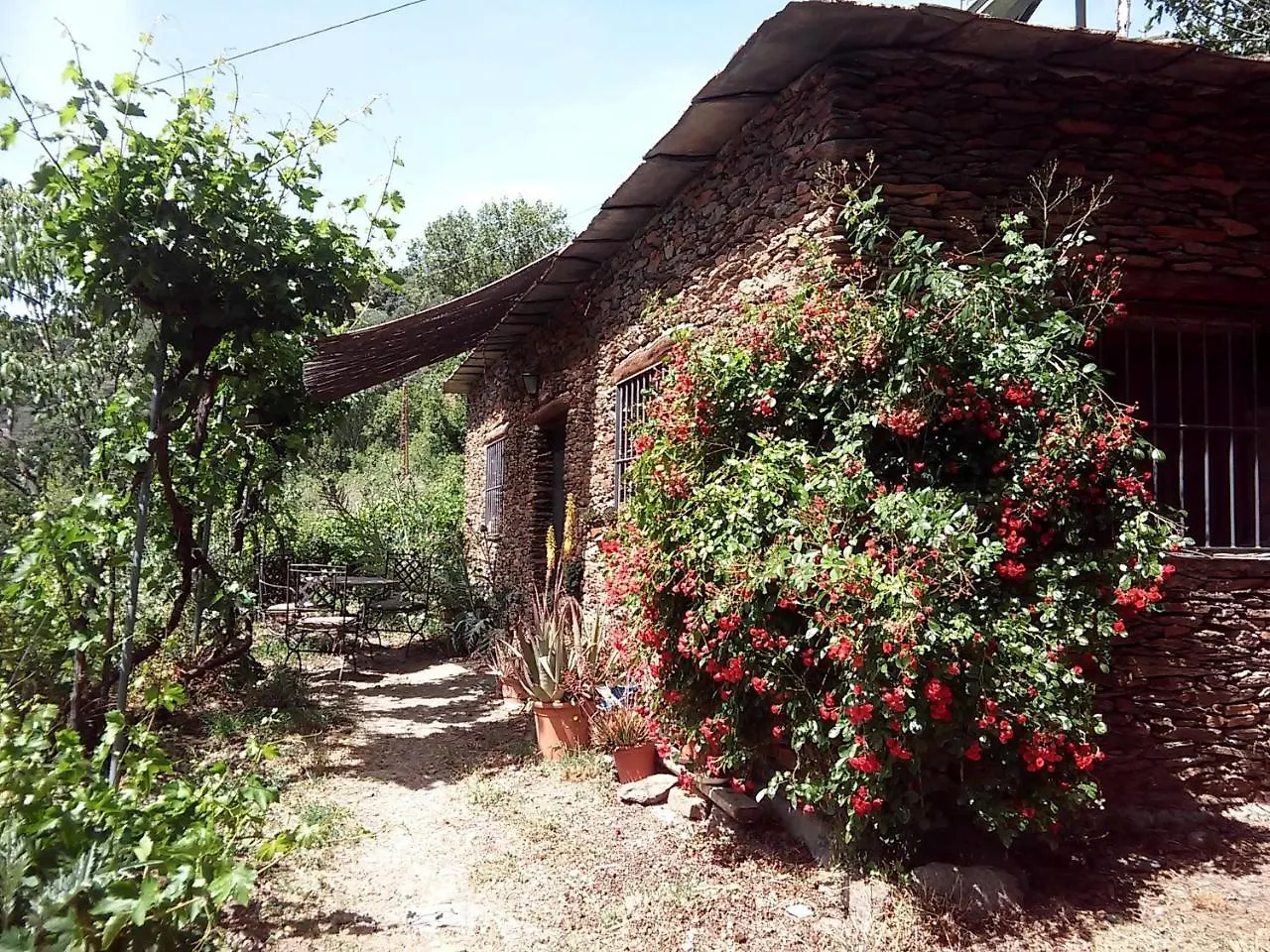 Gasthaus Cortijo Buena Vista Laroles Landhaus